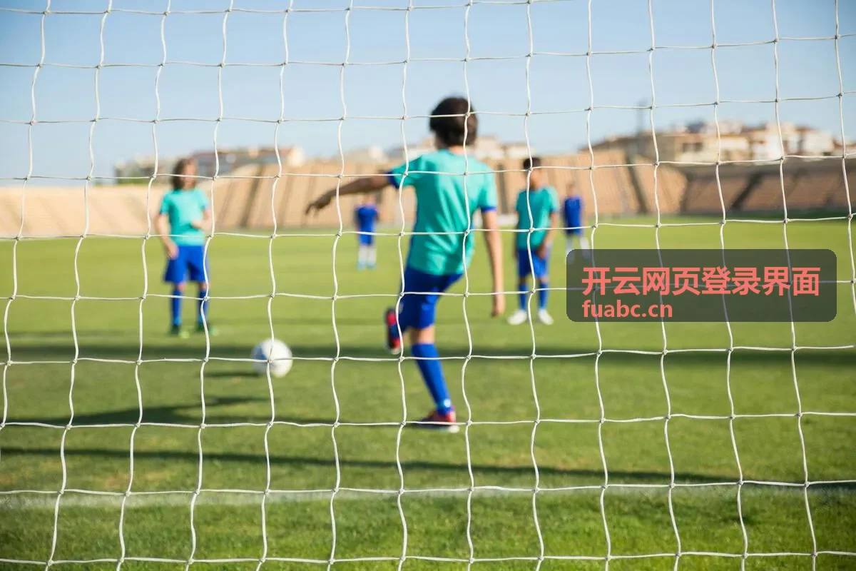 开云网页登录界面的账号与凭据输入区域示意