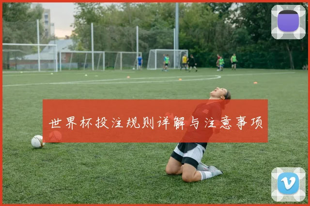 世界杯投注规则详解与注意事项