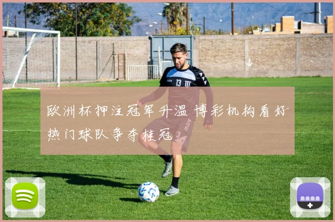欧洲杯押注冠军升温 博彩机构看好热门球队争夺桂冠