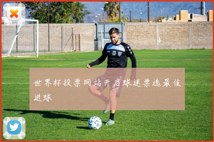 世界杯投票网站开启球迷票选最佳进球