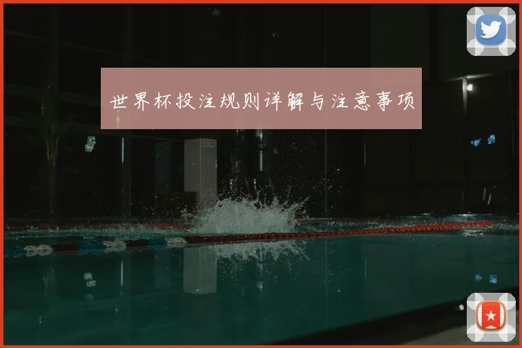 世界杯投注规则详解与注意事项