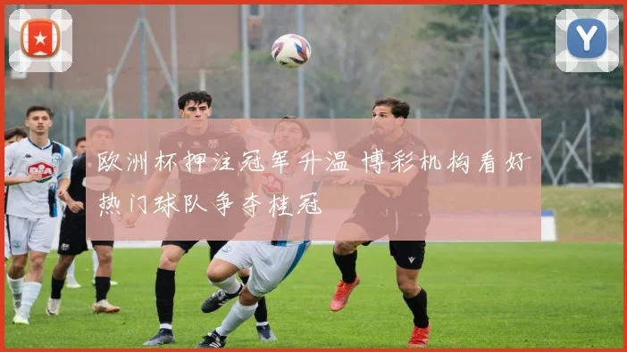 欧洲杯押注冠军升温 博彩机构看好热门球队争夺桂冠