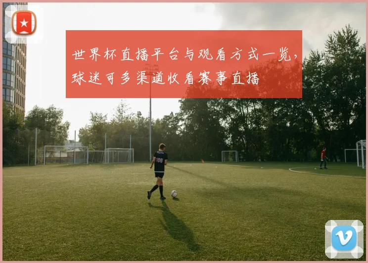 世界杯直播平台与观看方式一览，球迷可多渠道收看赛事直播