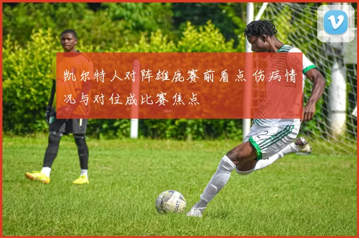 凯尔特人对阵雄鹿赛前看点 伤病情况与对位成比赛焦点