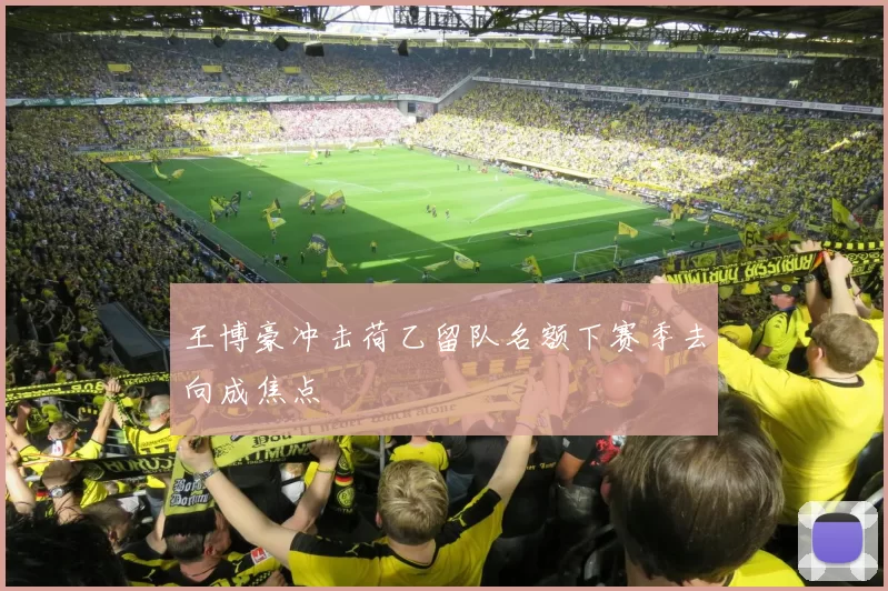 王博豪冲击荷乙留队名额下赛季去向成焦点